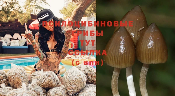 кокс Богданович