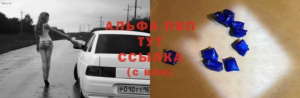 СК Белокуриха