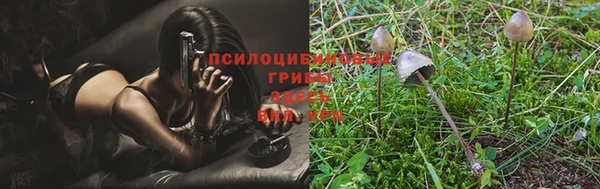 ГАЛЛЮЦИНОГЕННЫЕ ГРИБЫ Богородск
