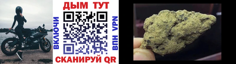 как найти наркотики  Кировск  Конопля Bruce Banner 